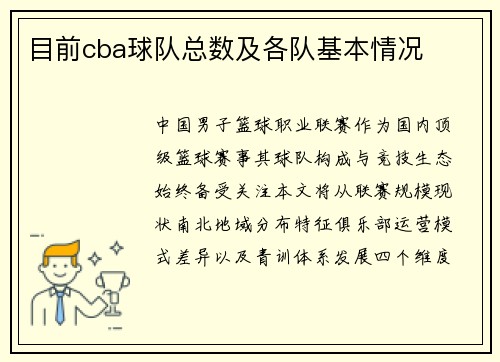 目前cba球队总数及各队基本情况