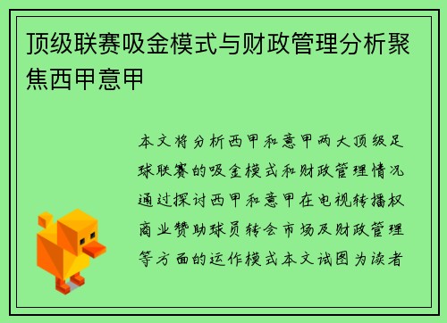 顶级联赛吸金模式与财政管理分析聚焦西甲意甲
