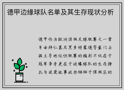 德甲边缘球队名单及其生存现状分析